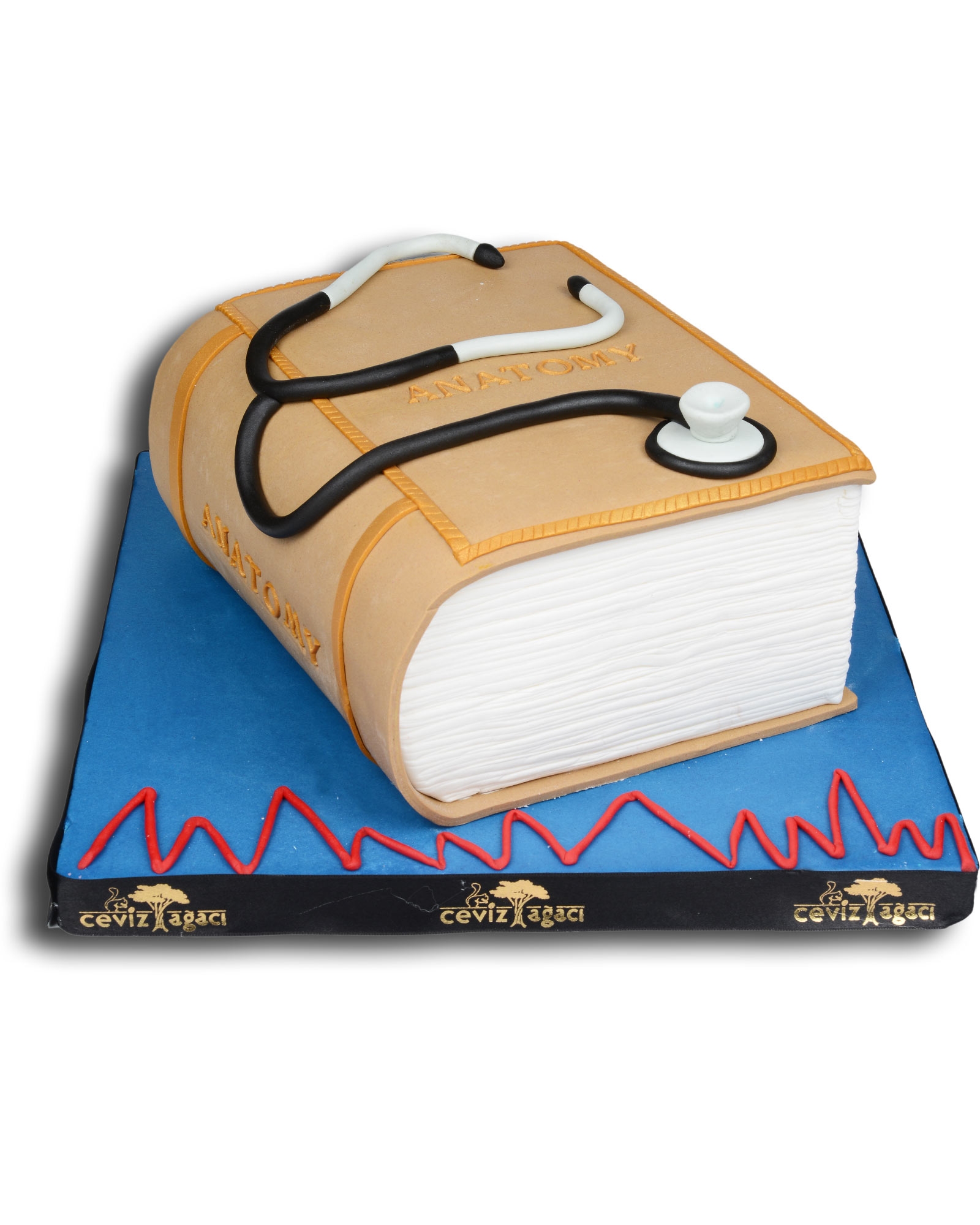 Anatomi Kitabı Doğum Günü Pastası