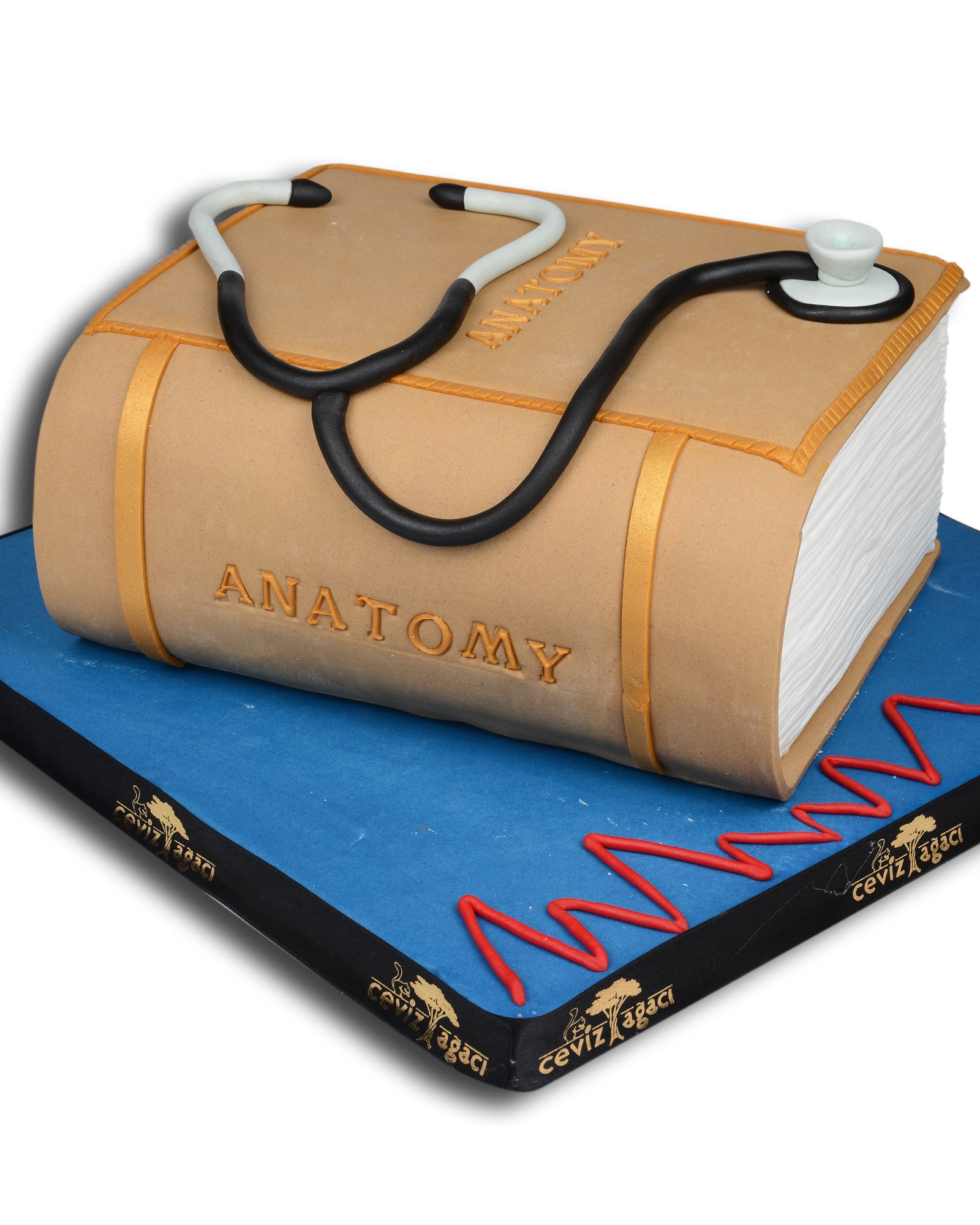 Anatomi Kitabı Doğum Günü Pastası  1