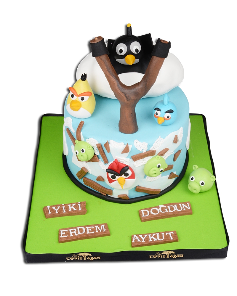 Angry Birds Doğüm Günü Pastası  1