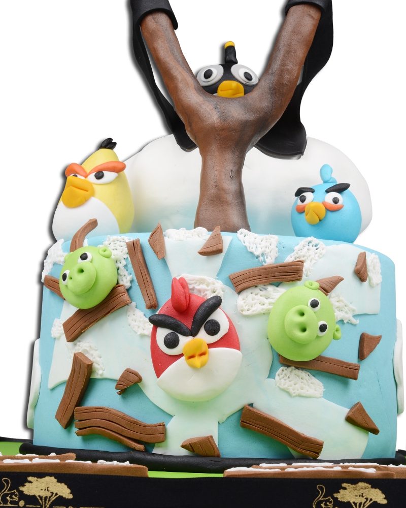 Angry Birds Doğüm Günü Pastası  2