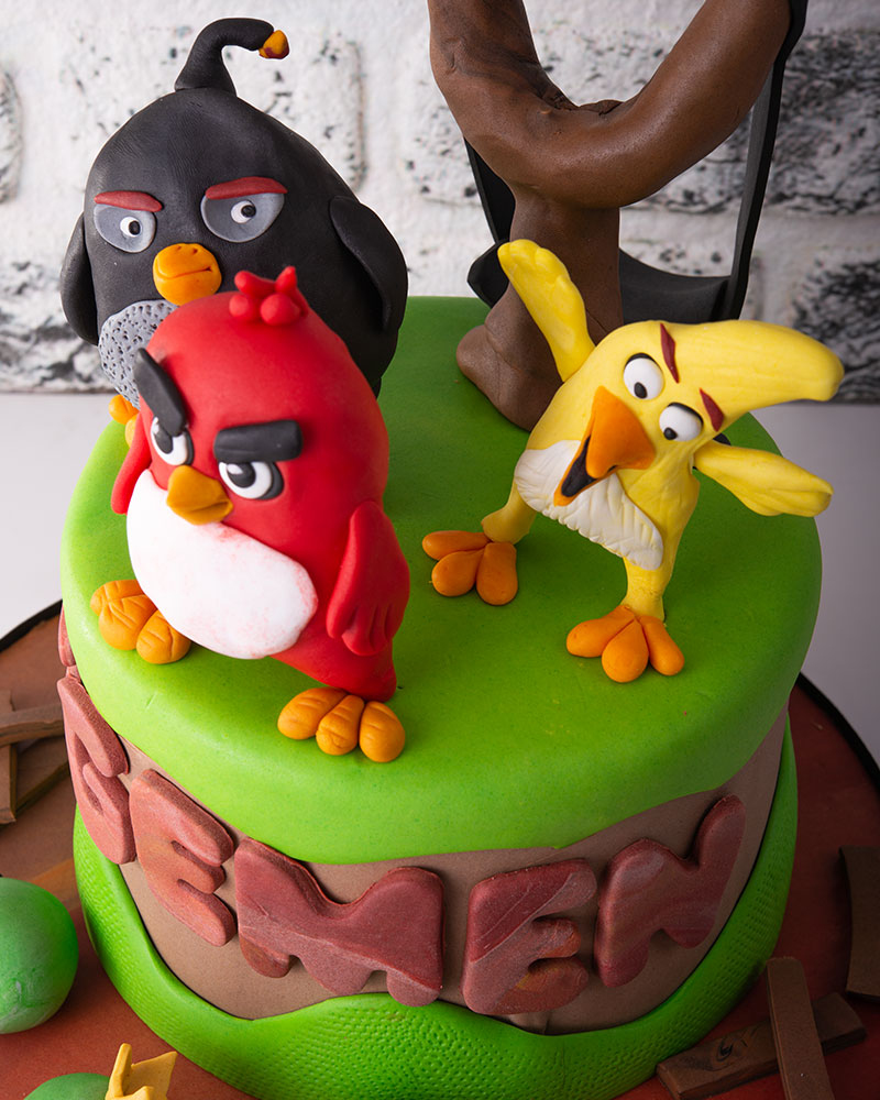 Angry Birds Doğum Günü Pastası  3
