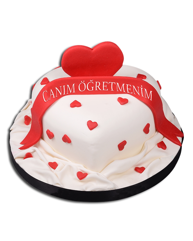 Canım Öğretmenim Pastası  2
