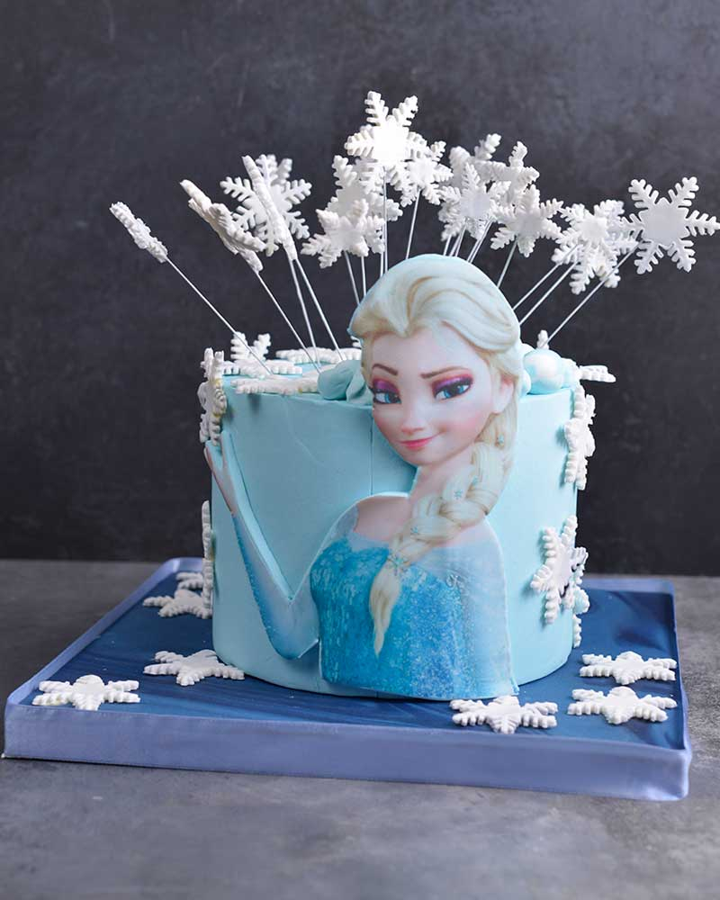 Elsa Doğum Günü Pastası  1