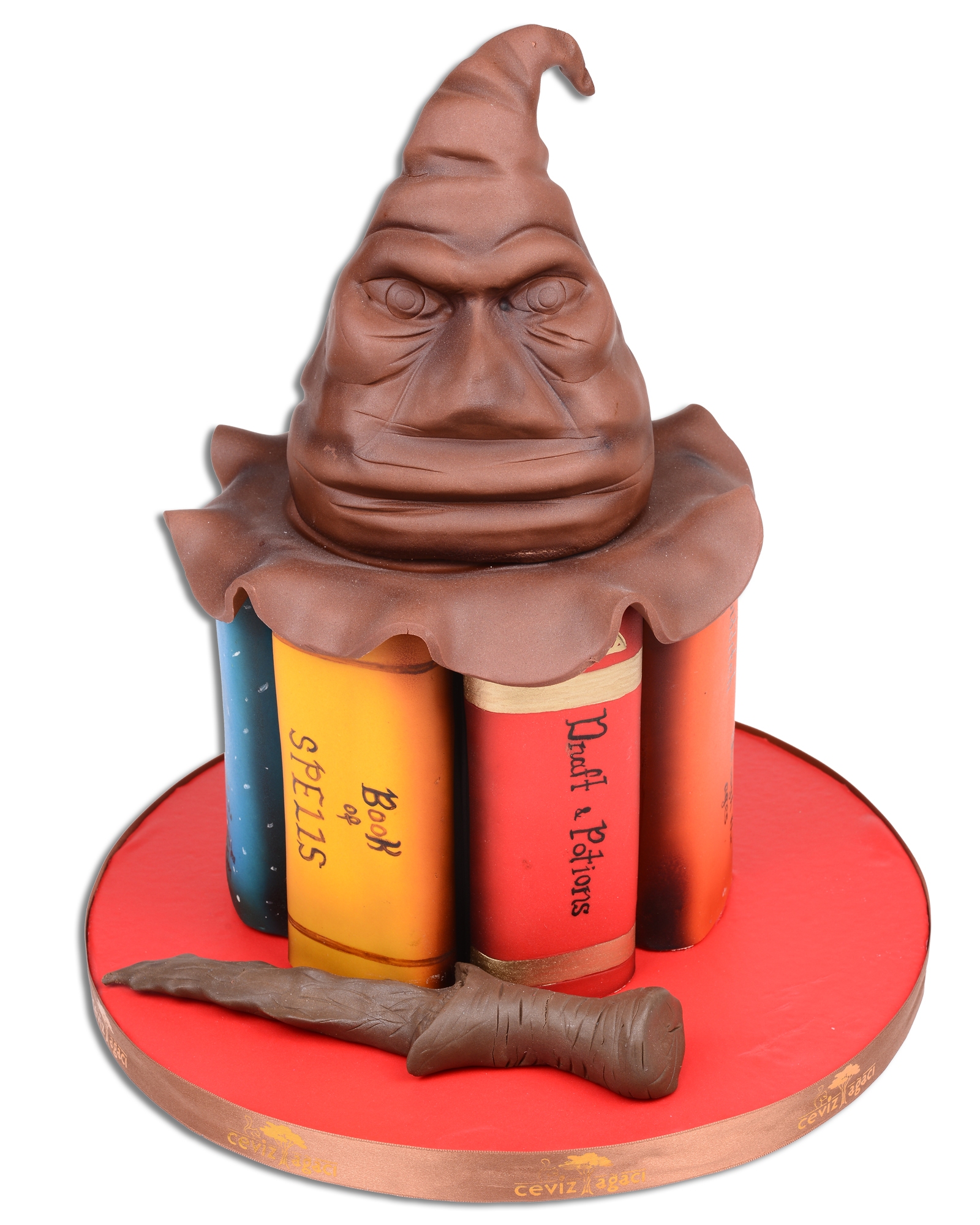 Harry Potter Seçmen Şapka Doğum Günü Pastası