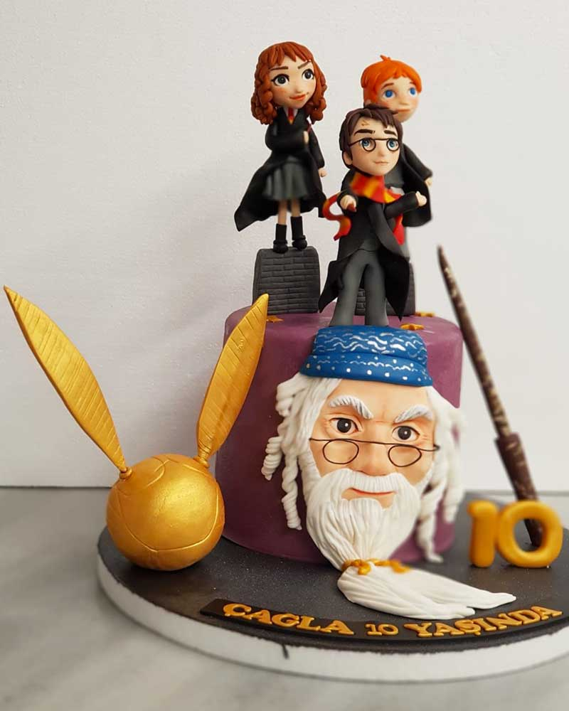 Harry Potter Doğum Günü Pastası  1