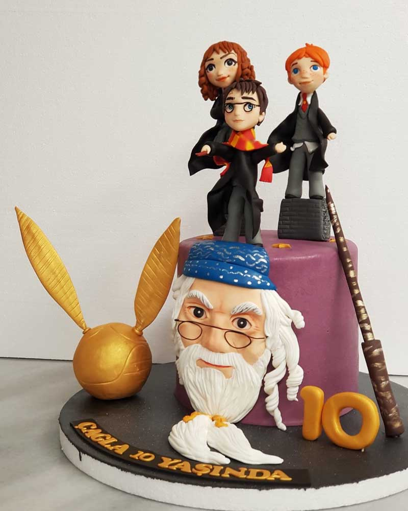 Harry Potter Doğum Günü Pastası  3