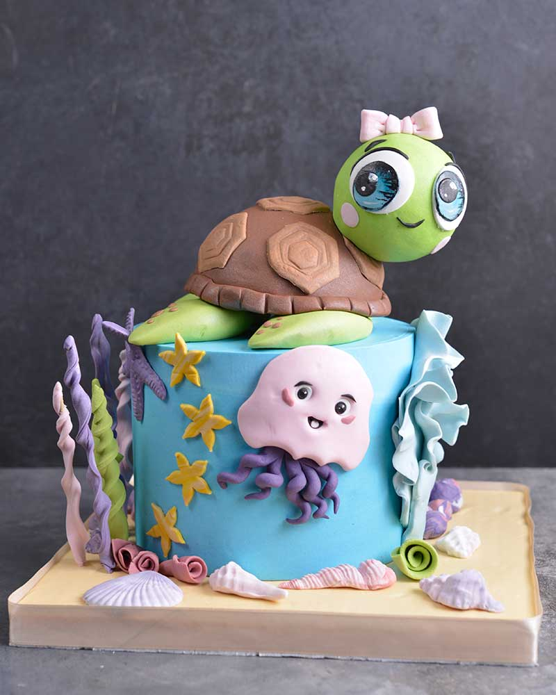 Kaplumbağa Doğum Günü Pastası  1