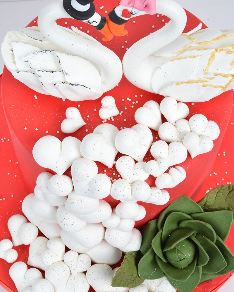 Kuğu Doğum Günü Pastası  3