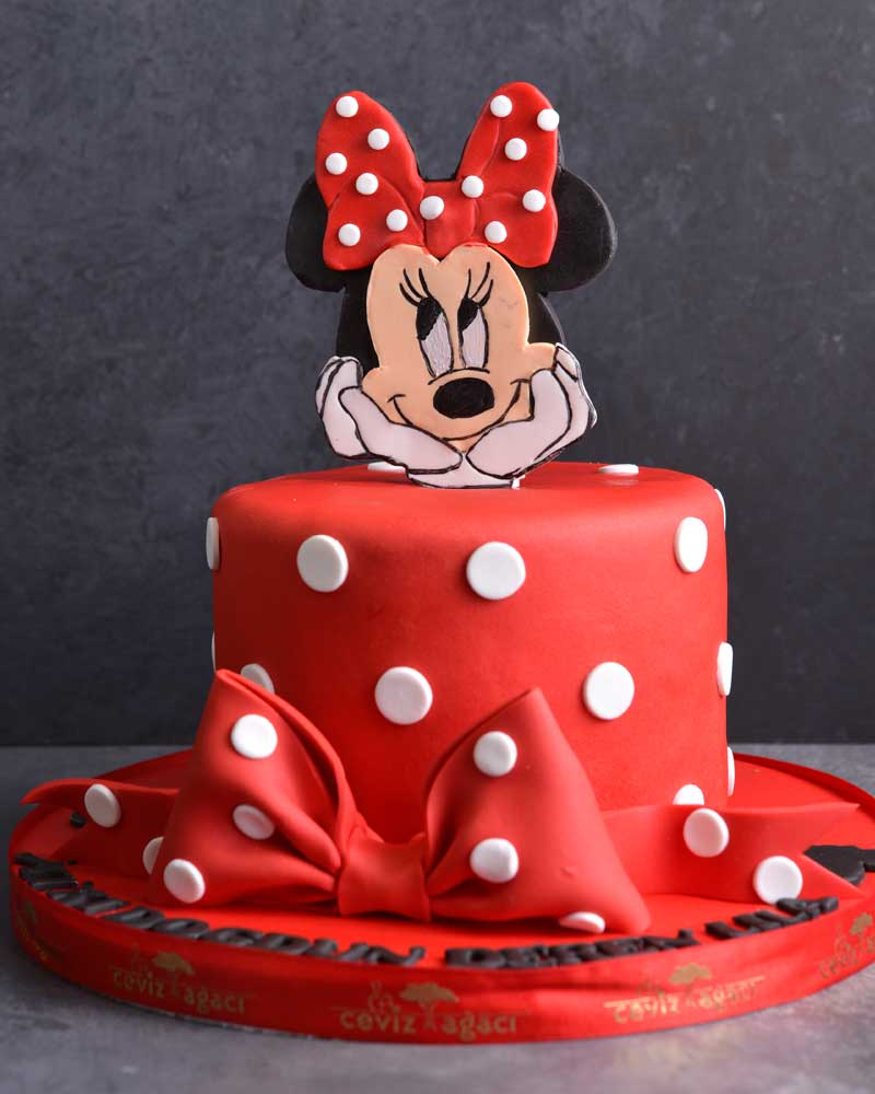 Minnie Mouse 2 Doğum Günü Pastası  1