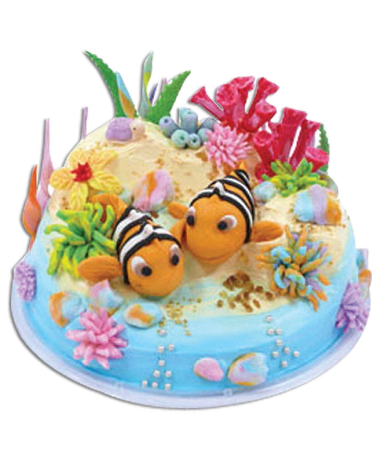 Nemo Ailesi Doğum Günü Pastası