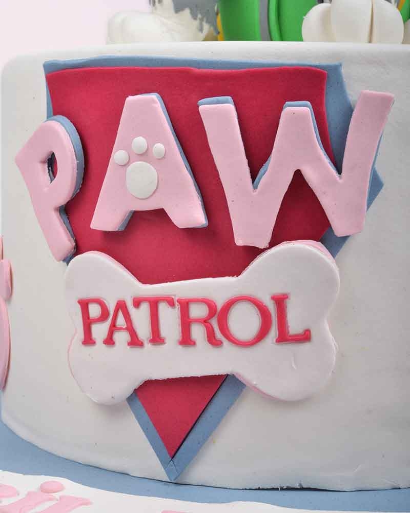 Paw Patrol Rocky Doğum Günü Pastası  3