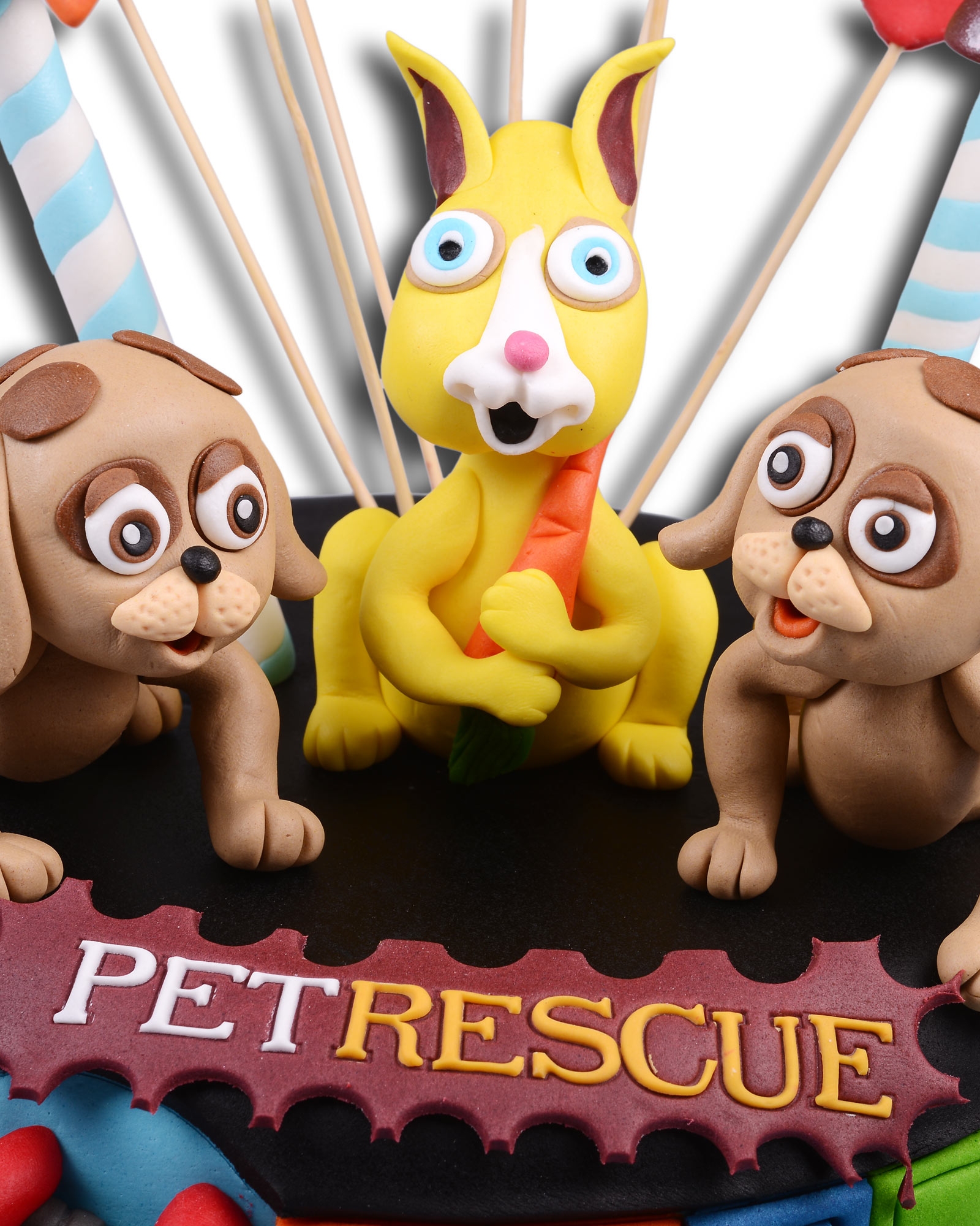 Pet-Rescue Stars Doğum Günü Pastası  1
