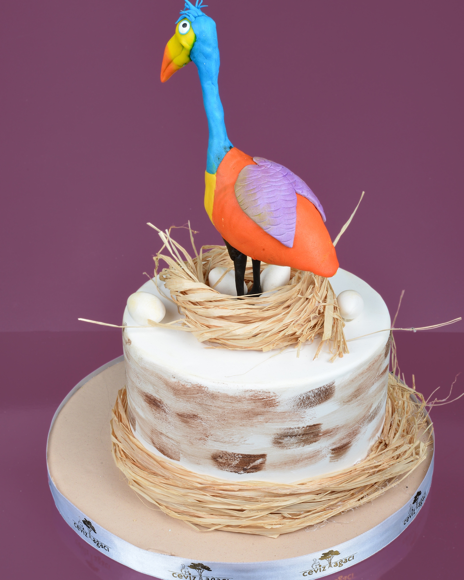 Şaşkın Kuş Doğum Günü Pastası  1