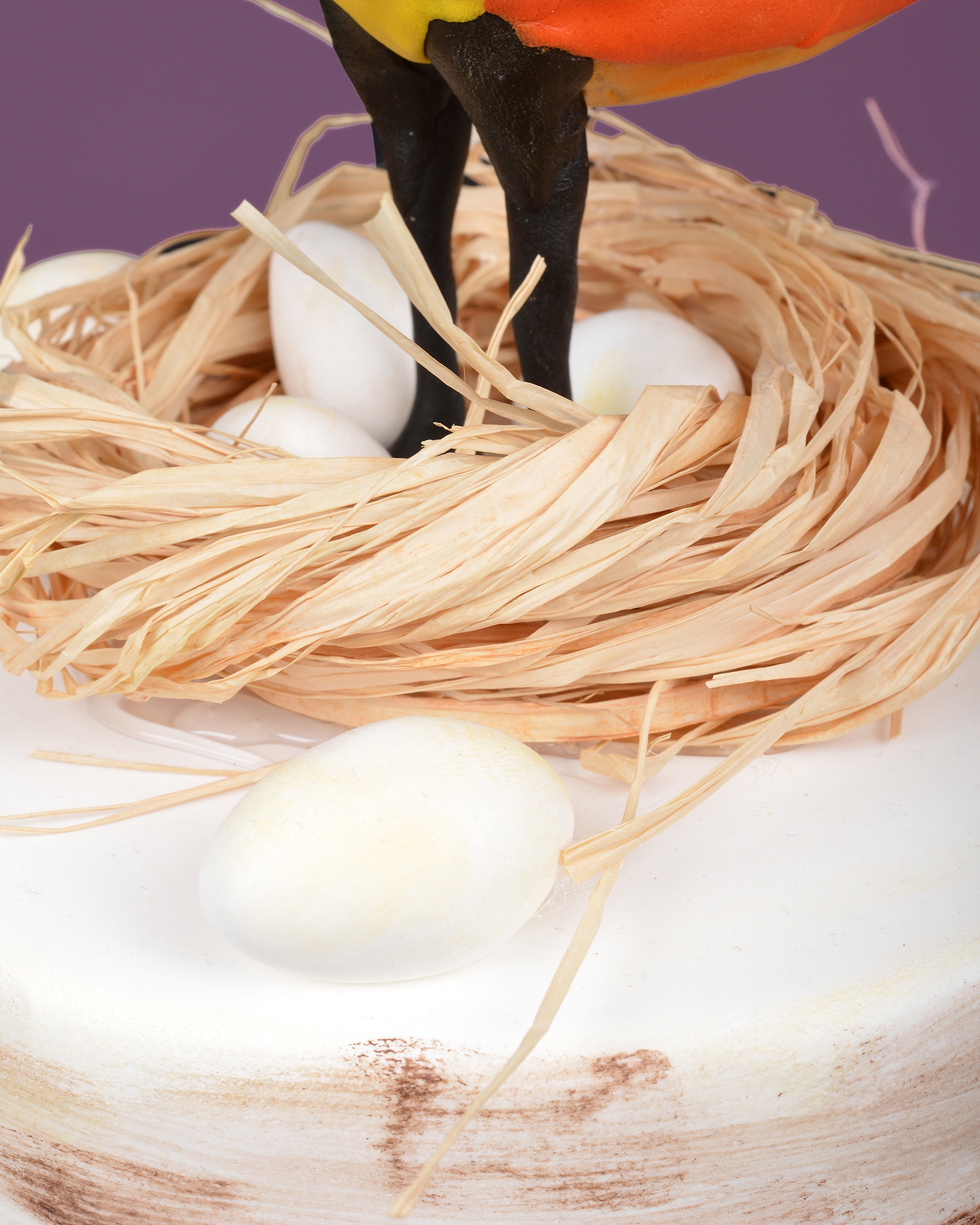 Şaşkın Kuş Doğum Günü Pastası  3