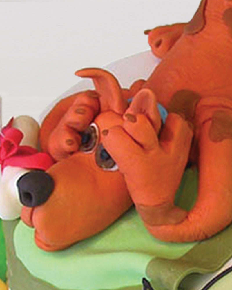 Şaşkın Scooby Doğum Günü Pastası  1