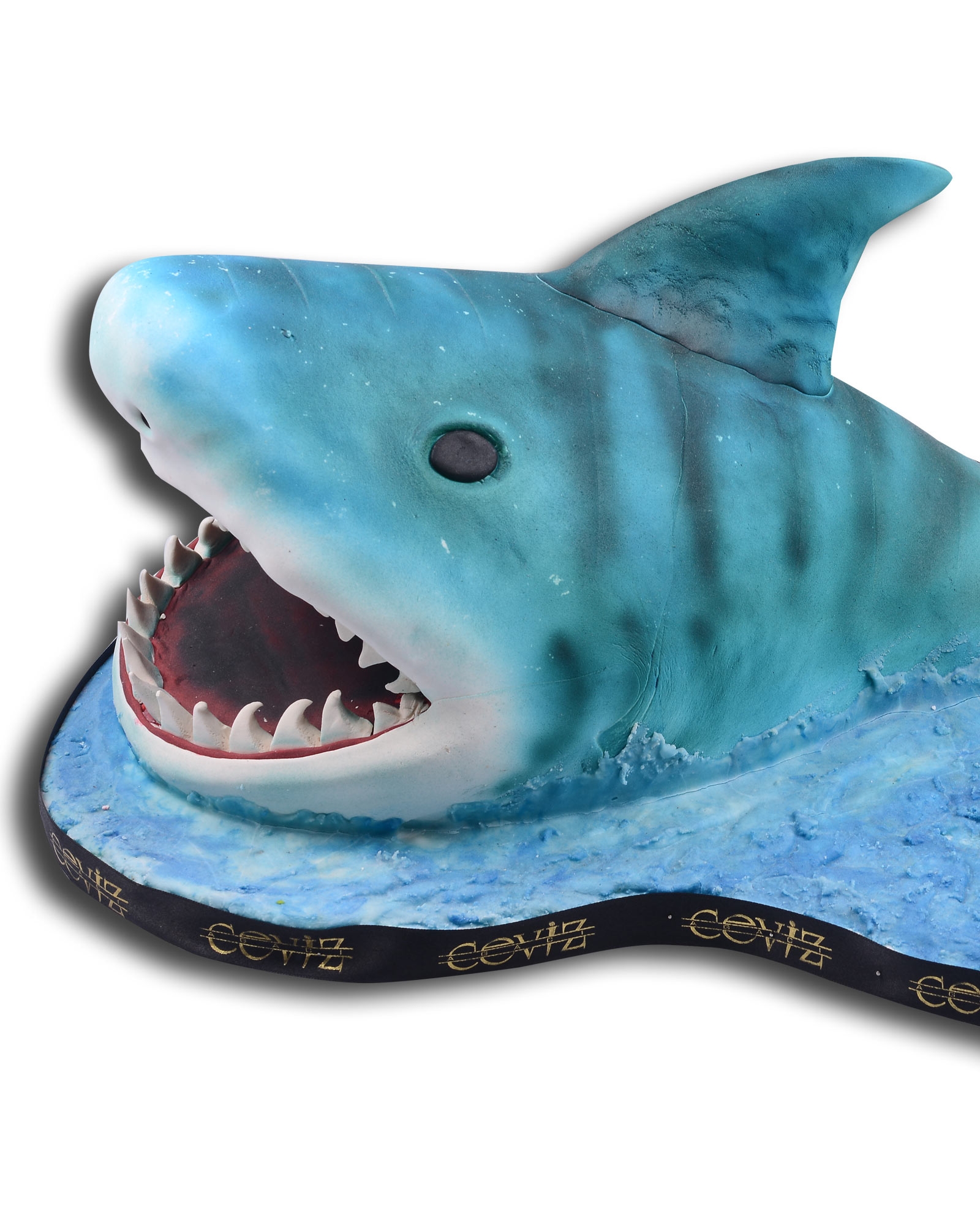 Shark Doğum Günü Pastası  1
