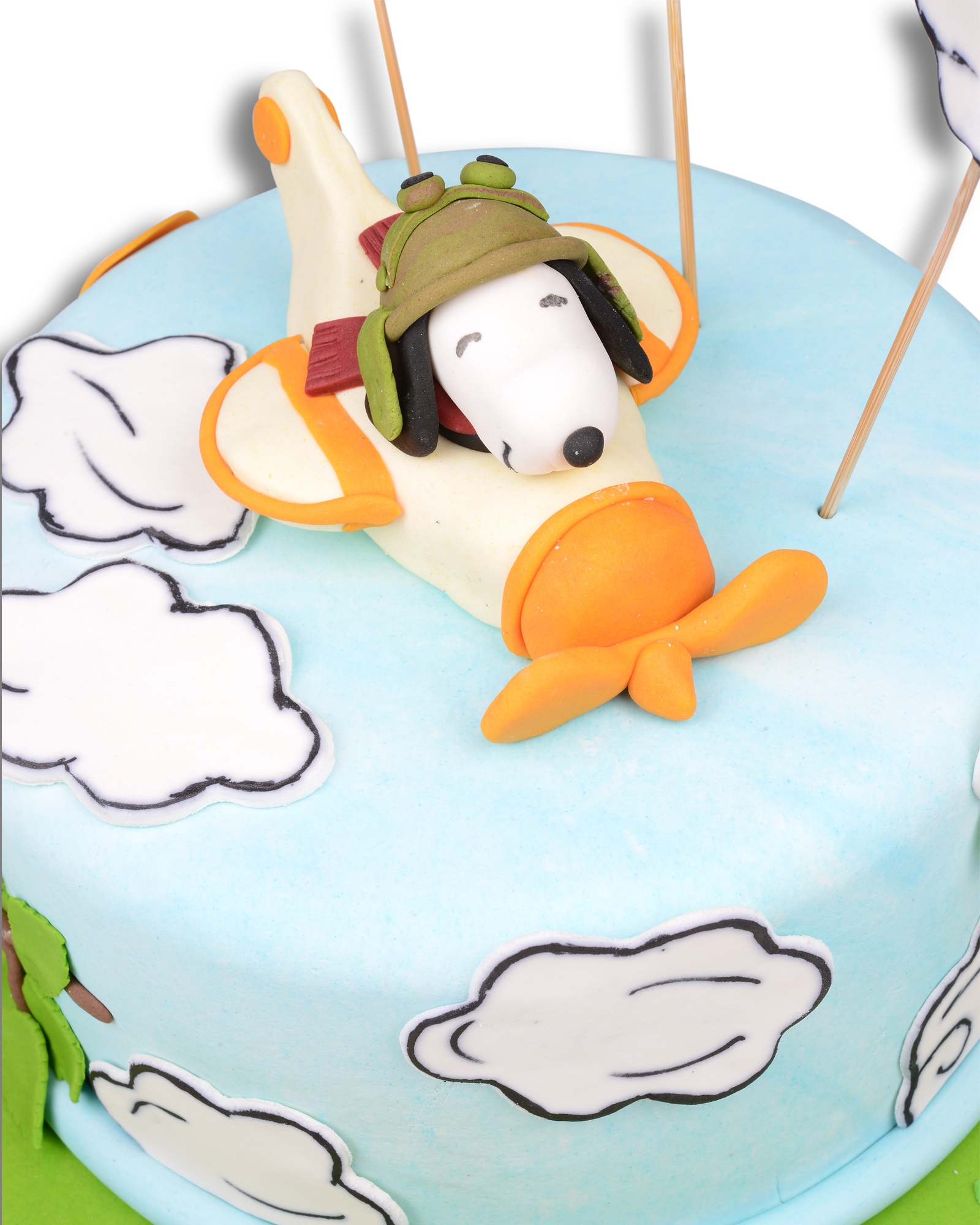 Snoopy Doğum Günü Pastası  2