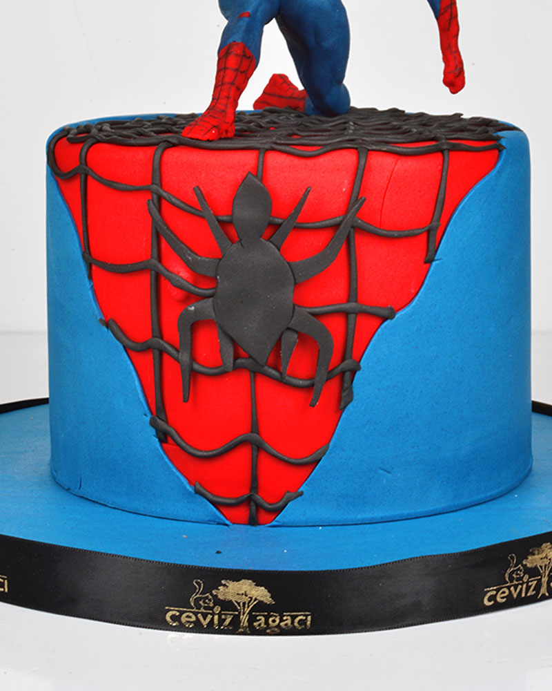 Spiderman Ağ Doğum Günü Pastası  2