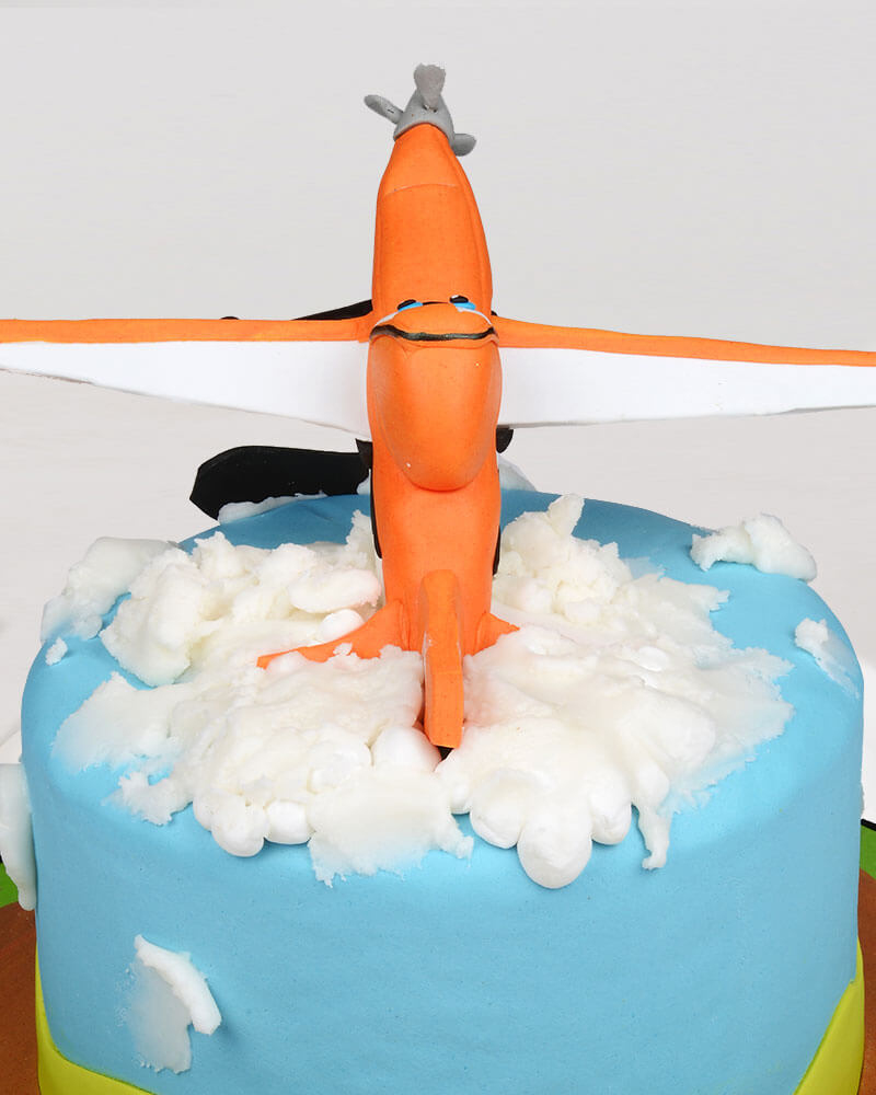 Uçaklar Doğum Günü Pastası  3
