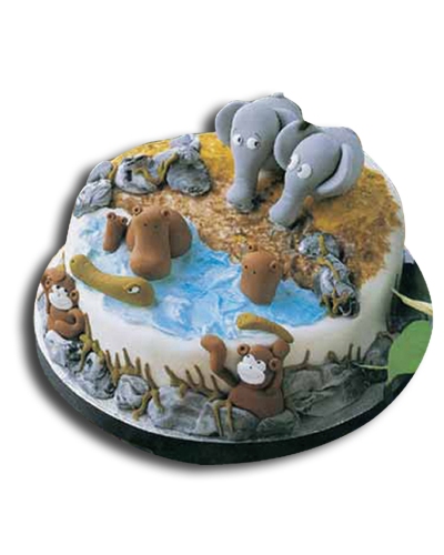 Amazon Doğum Günü Pastası