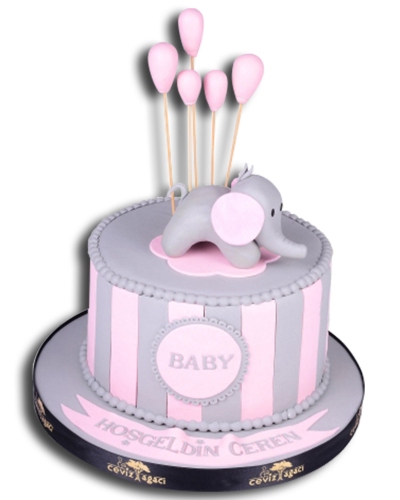 Fil Winner Baby Shower Pastası
