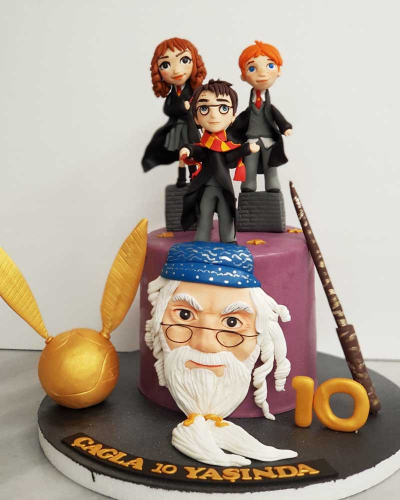 Harry Potter Doğum Günü Pastası