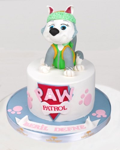 Paw Patrol Rocky Doğum Günü Pastası