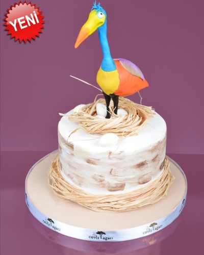 Şaşkın Kuş Doğum Günü Pastası