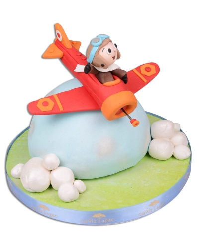 Sevimli Pilot Doğum Günü Pastası