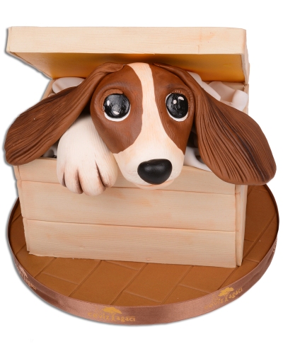 Yaramaz Köpek Doğum Günü Pastası